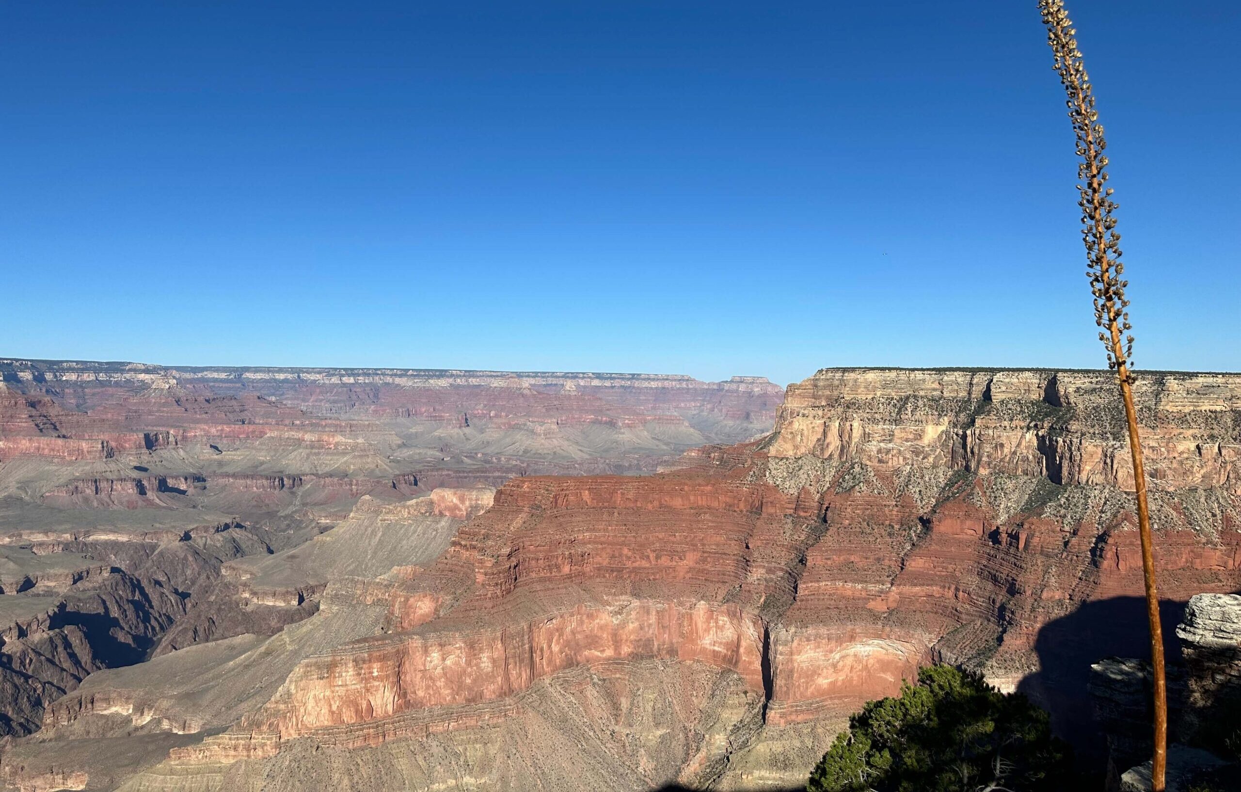 Grand Canyon NP, Südrand